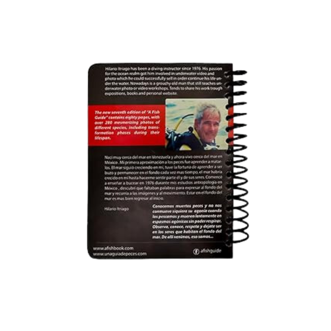 Mexican Caribbean Fish Guide