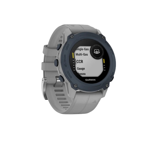 Garmin Descent™ G1