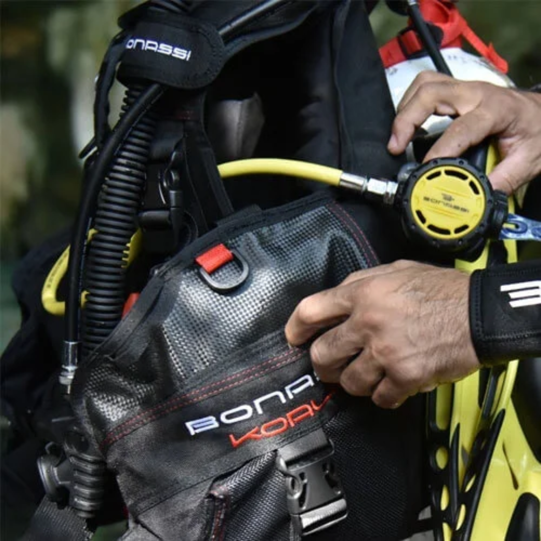 Bonassi Koala Unisex BCD