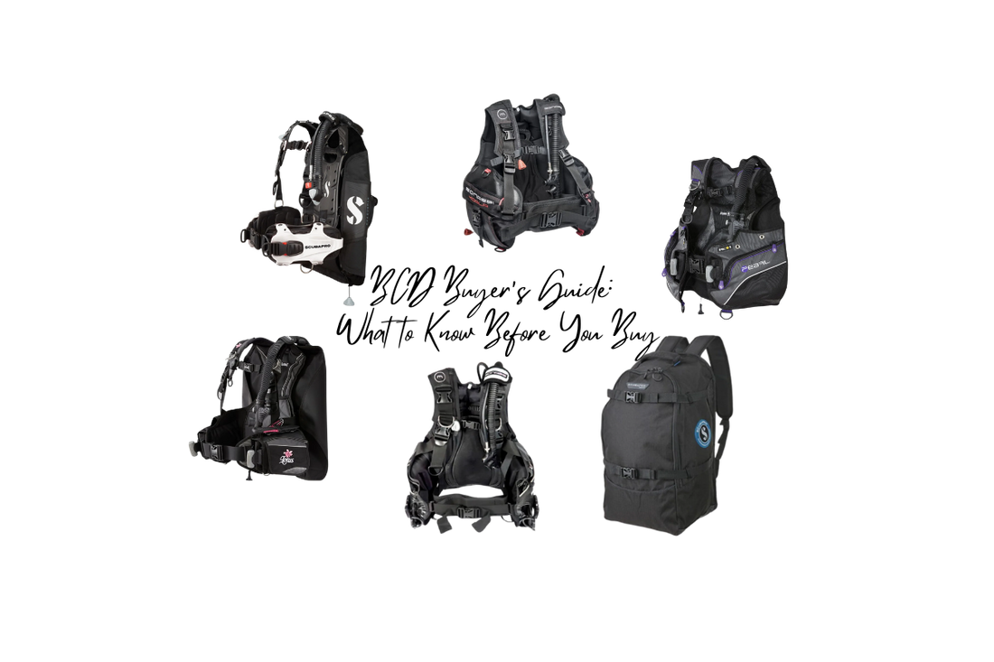 BCD Buyer’s Guide: What to Know Before You Buy