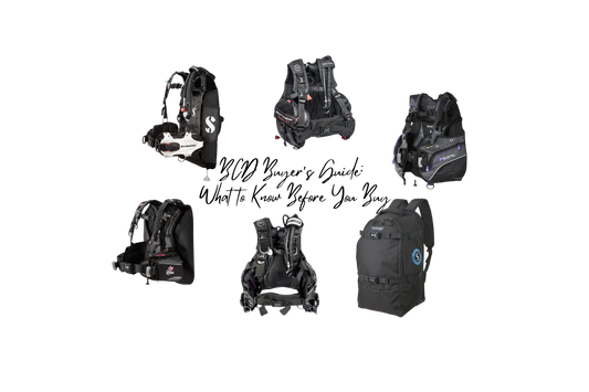 BCD Buyer’s Guide: What to Know Before You Buy