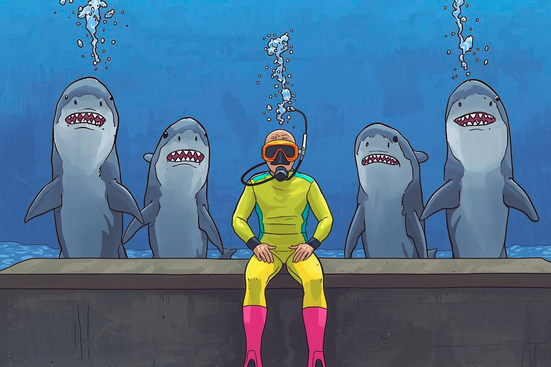 What Not to Wear: Diving with Bull Sharks in Playa del Carmen