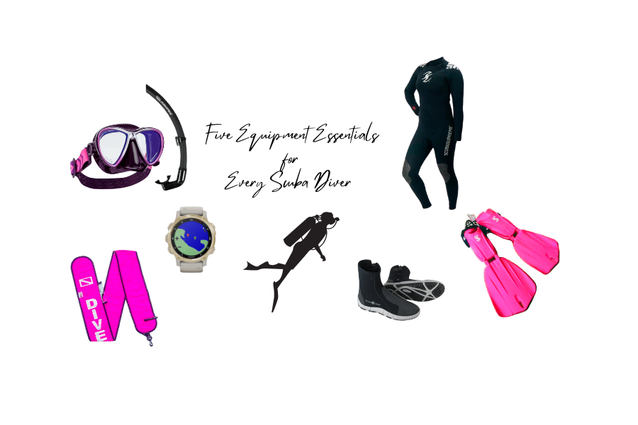 Five Equipment Essentials for Every Scuba Diver