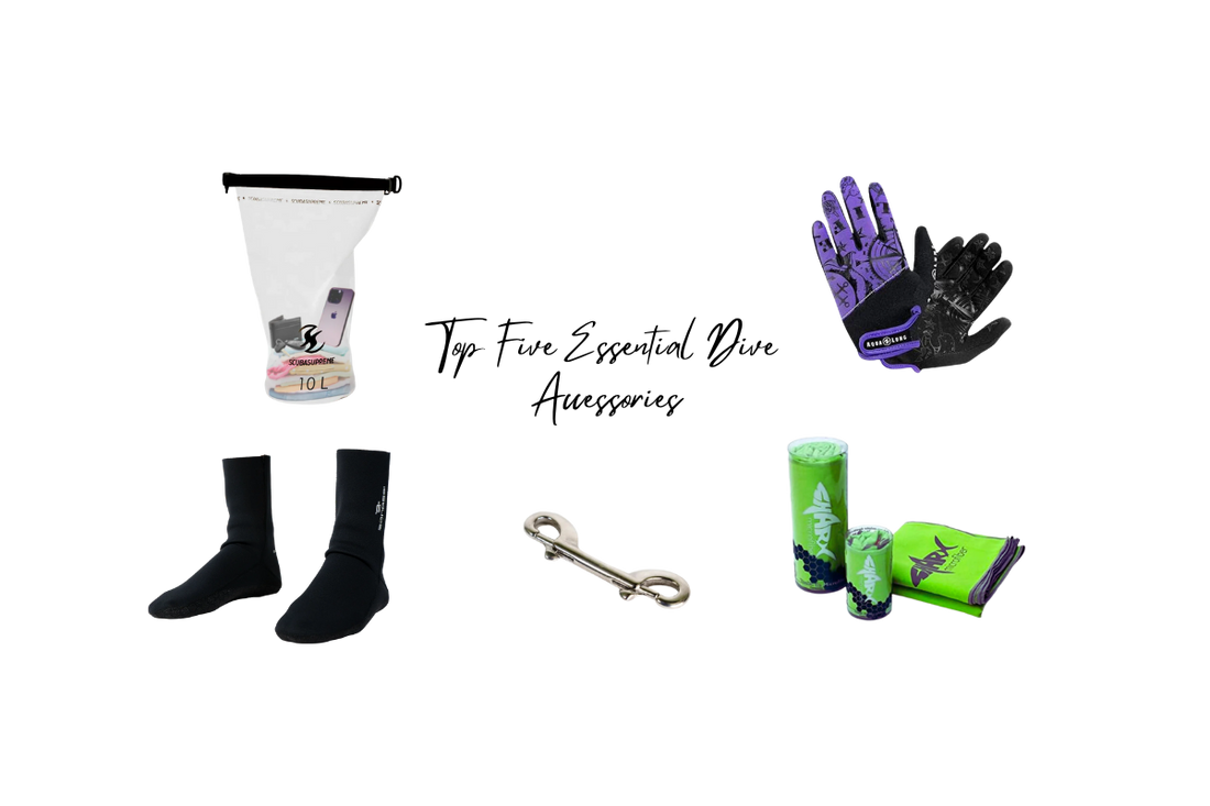Top Five Essential Dive Accessories Under $1000 MXN
