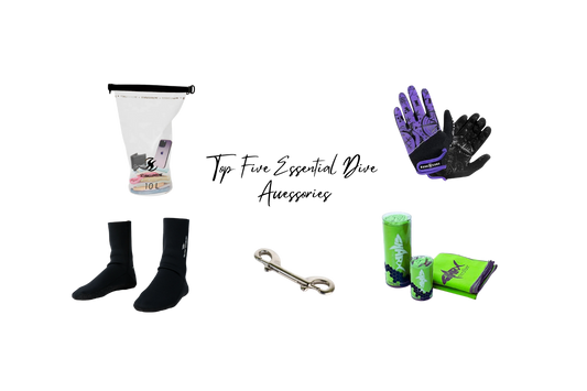 Top Five Essential Dive Accessories Under $1000 MXN
