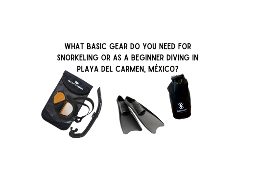 What Basic Gear Do You Need for Snorkeling or as A Beginner Diving in Playa del Carmen, México?