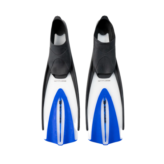 Aletas Bonassi Anthias de talón cerrado