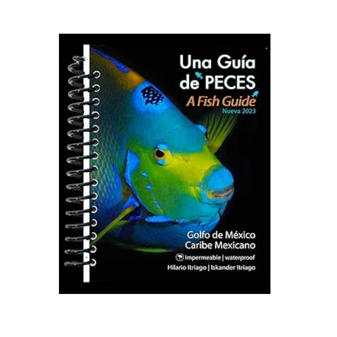 MEXICAN CARIBBEAN FISH GUIDE