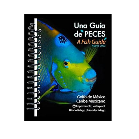 MEXICAN CARIBBEAN FISH GUIDE